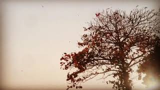 A Pure Heart Is The one That Gets Inspired!