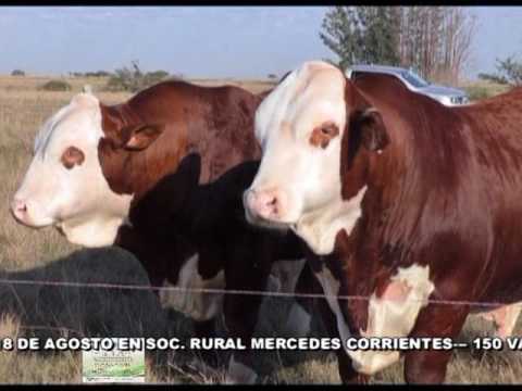 EL ROCIO DE COPRA REMATA EL 18 DE AGOSTO 2017 A