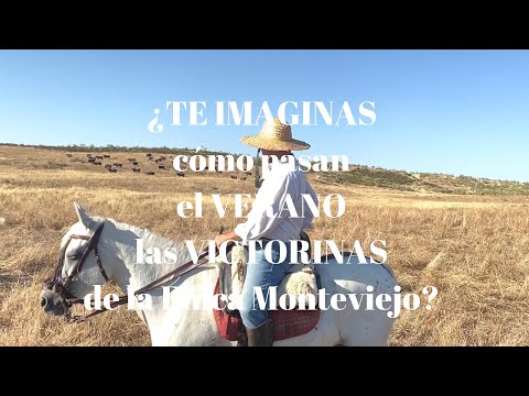 Como TE IMAGINAS cómo pasan el verano LAS VICTORINAS de la Finca Monteviejo