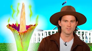 Download lagu Wasn't allowed into Canberra! mp3 Download lagu Wasn't allowed into Canberra! mp3