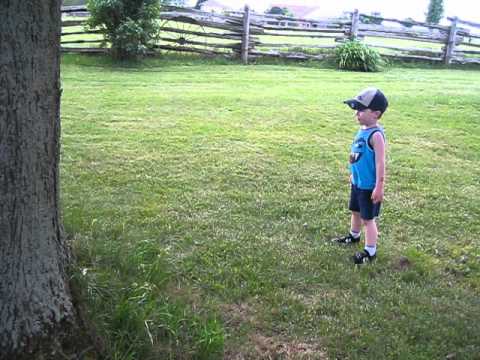 Quin playing tag with the kittens.