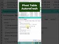 Auto Refresh Pivot Table Data When The Excel File Is Opened