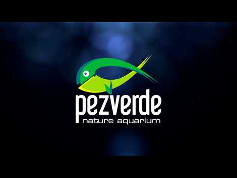 aPump y aPump Maxi – PezVerde