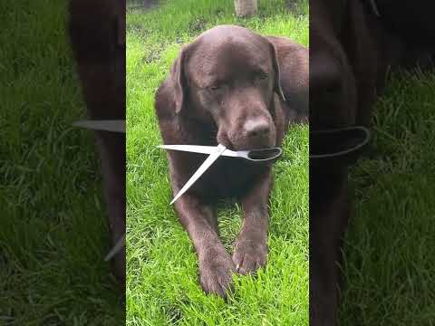 Gaeta’ , Gaetanoooooo !!! 😂😂😂😂❤️