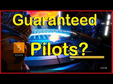 Maximize Your Squadron NOW! NMS ENDURANCE