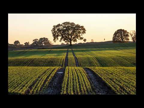 Dancing Till We Get Lost - Frigga #lucid #dreaming #music #relaxation #dream #healing #soothing