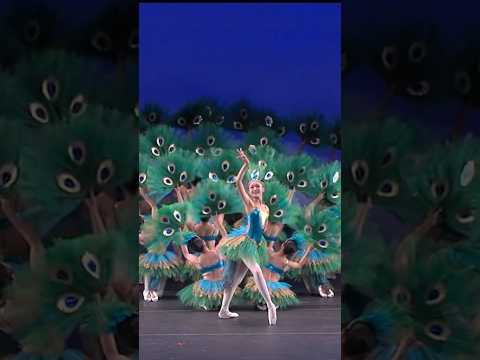 “Peacock Dance” at the YAGP Finals 2016. #chinesedance #yagp #peacock #ballet