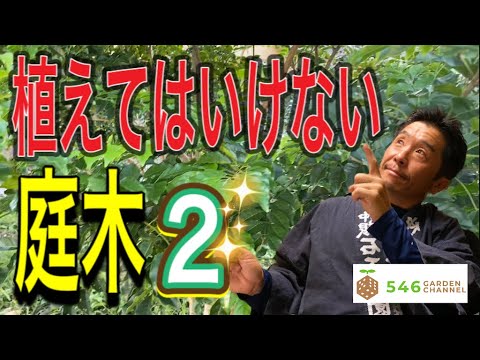 プールの近くに植えてはいけない木はどれですか?何のために ？最悪の5種は何ですか?そしてベスト5は？  庭園