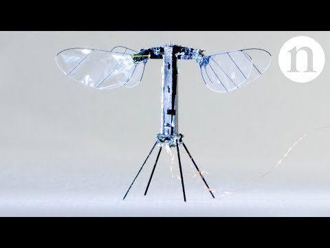 昆蟲大小的機器人起飛。RoboBee X-Wing (Insect-sized robot takes flight: RoboBee X-Wing)