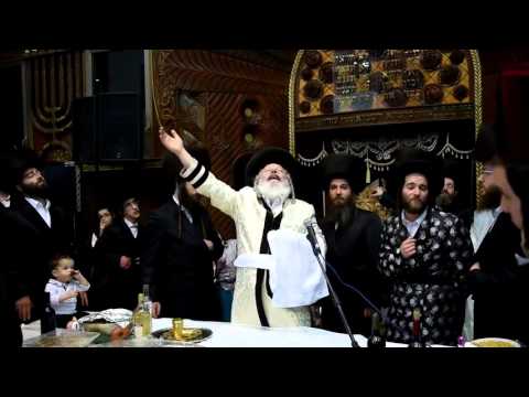 Purim 5776 In Premishlan