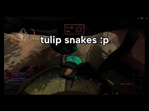 Tulip Snakes - Lethal Company