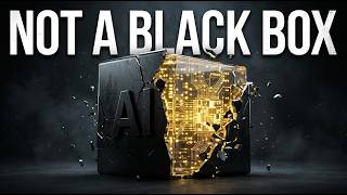 The Black Box Illusion  Why Neural Networks Are Already Clean