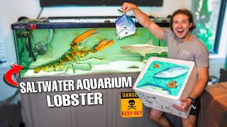 Catching Exotic FISH For My Pet GROCERY STORE LOBSTER!