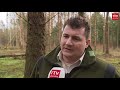 Bomenkap op begraafplaats de Wolfsbergen door letterzetter