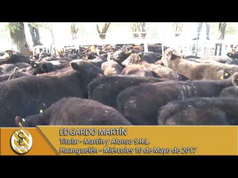 10-05-17 Edgardo Martín - Martín y Alonso  SRL -  Huanguelén.
