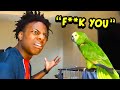 iShowSpeed Buys A Pet PARROT.. (bad idea)