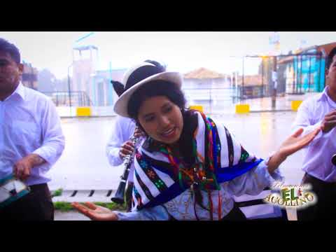 ARACELY LEIVA DAMIAN 2019 - PAJARILLOS