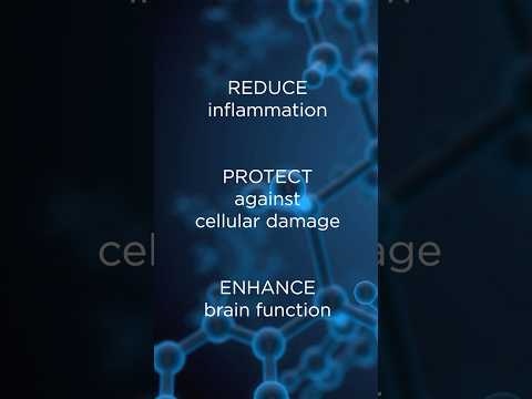 Improve your Mental Performance and Memory with Wasabi