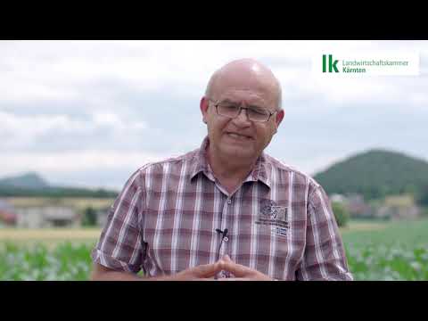 So ziehen Sie Bodenproben richtig