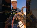Giant 1000$ Lobster Catch and Cook!