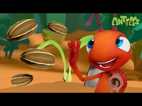Fazenda De Formigas! | O MELHOR DE ANTIKS BRASIL | Desenhos Animados Engraçados para Crianças