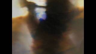 Animal Collective - Bleed