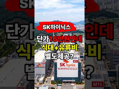 #청주 #SK하이닉스 #일자리 #구인 #취업 #반도체장비 #반도체장비셋업 #유지보수 #초보가능 #정규직전환 #자차출퇴근 #청주현장 #중장년일자리 #현장직 #구인구직