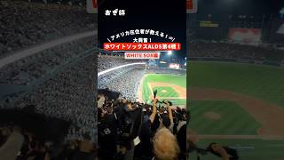 アメリカ在住者が教える!🇺🇸大興奮!ホワイトソックスALDS第4戦!#whitesox #alds #ホワイトソックス #村上宗隆 #fyp