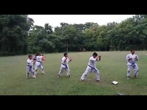 Ashihara karate international