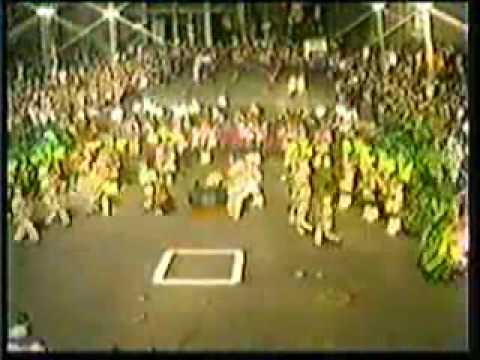 1987 Palmyra String Band - Jungle Joe's Swinging Safari