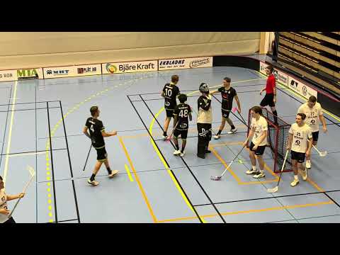 Highlights Herrar Div.3 Skåne Åstorp/Kvidinge IBS - Gårdarike IBK 4-4