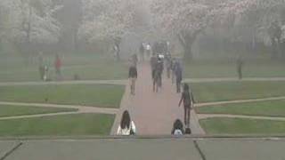 UW Quad - Dave Carter &amp; Tracy Grammer &quot;Gentle Soldier of My Soul&quot;
