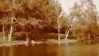 Bài hát Quelque Chose Dans Mon Coeur - Nghệ sĩ trình bày Elsa