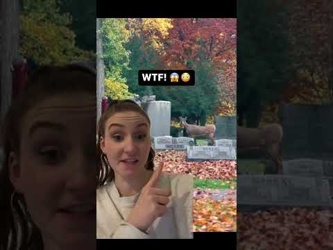 REAL WENDIGO CAUGHT ON CAMERA!! 😱  #shorts #wendigosighting #caughtoncamera