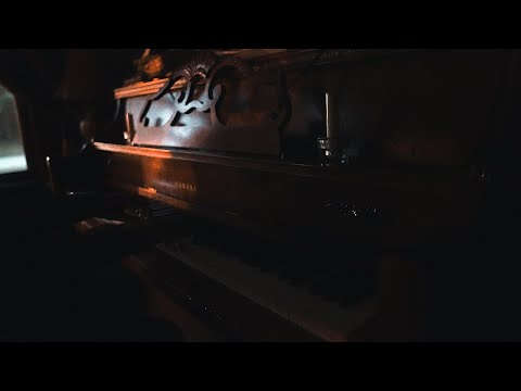 Lonely Roses | Joshua Kyan Aalampour