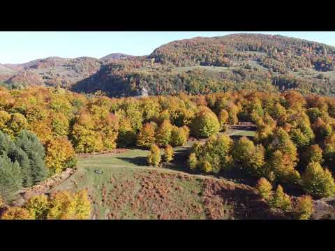 Rosia Bihor Beius (aerian) 2021