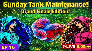 Sunday Tank Maintenance: EP16 Live Hosted by Brenda and Dina 📱