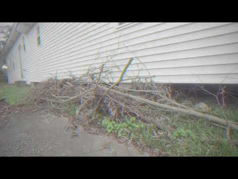 LordJellz Ain’t nun feat. Gee10toes