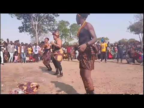 Namanhonga | Sambalala