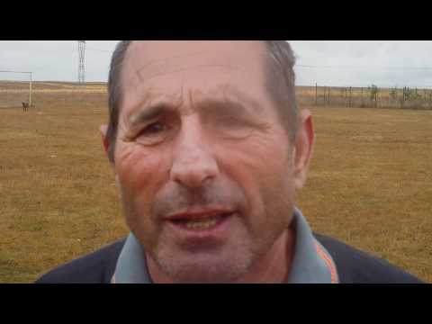 video primar robanesti