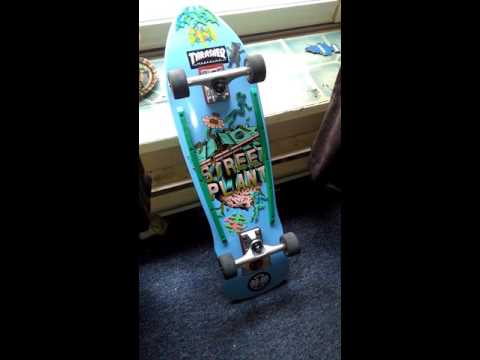 Street plant and Powell peralta skateboard