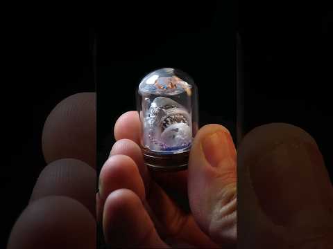 Tiny Jaws Diorama 🦈 #jaws #minitures #diorama #tinythings #shark #minithings