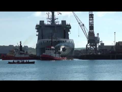 Tidespring moves in to her new home