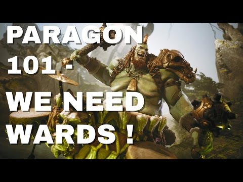 PARAGON 101 - USE WARDS - BASIC WARDING GUIDE.
