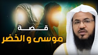 محمد الشنقيطي | من هو الخضر ؟وهل هو جبريل حقا! ومازال حي الي الان؟ولماذا هو أعلم أهل الارض؟