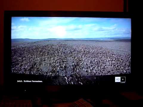 Sony KDL-40EX500AEP - 02