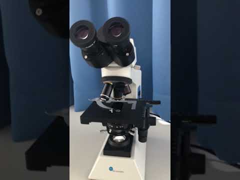 Mikroskop / Anleitung / MFA / Ausbildung