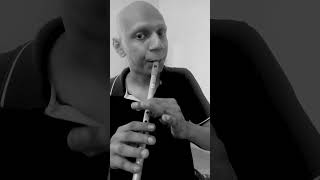 Download lagu Kutty - Yaaro En Nenjai Song in Flute #shorts mp3 Download lagu Kutty - Yaaro En Nenjai Song in Flute #shorts mp3