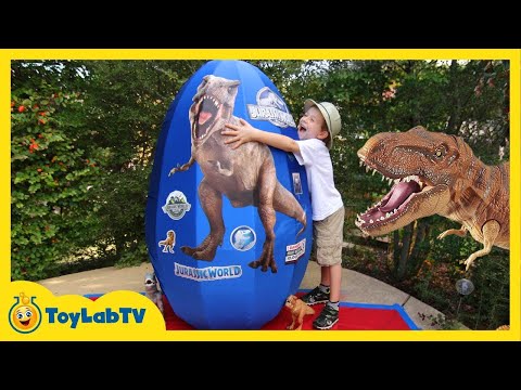 Giant Mystery Egg! T-Rex Dinosaur Surprise | T Rex Ranch | Kids Show | Weird Cartoons for Kids 🤪