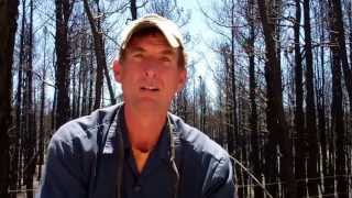 preview picture of video 'After the Colorado Wildfires by Mitchell Dillman'